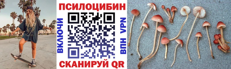 Псилоцибиновые грибы Magic Shrooms Купить закладки Белая Калитва